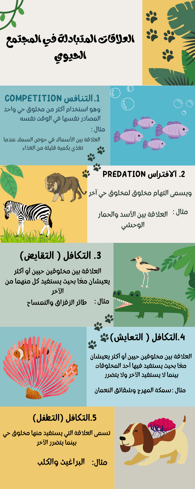 ملخص عن العلاقات المتبادلة في المجتمع الحيوي