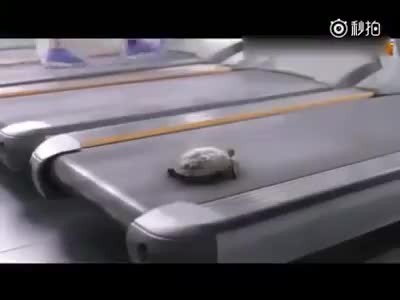 13583963_1740158769571377_467519097_n