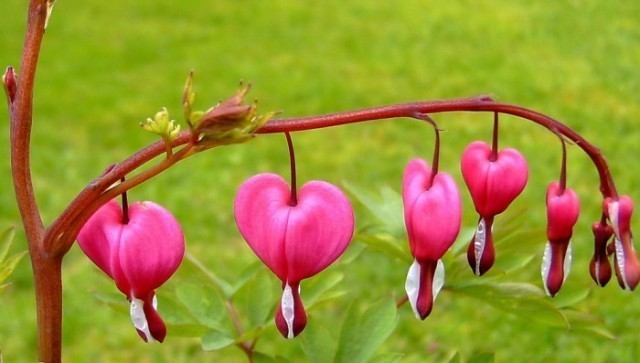 b4c9e3125cc2c8375d542730661174d2