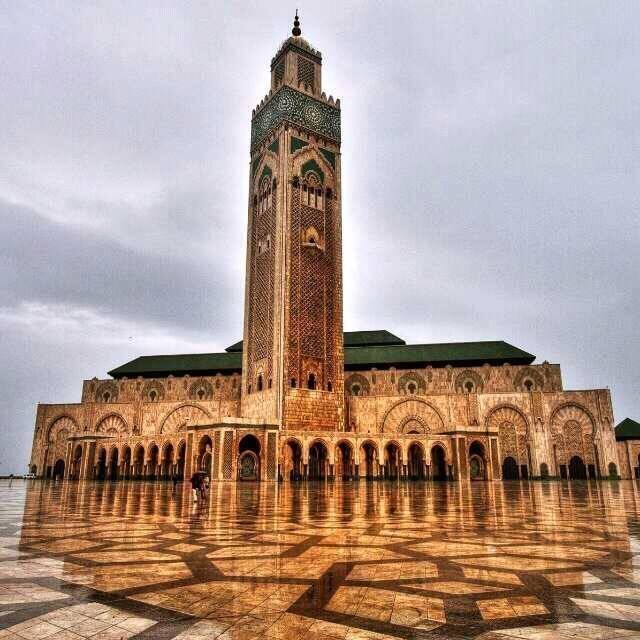 13901432_310132606001357_425265278682762325_n