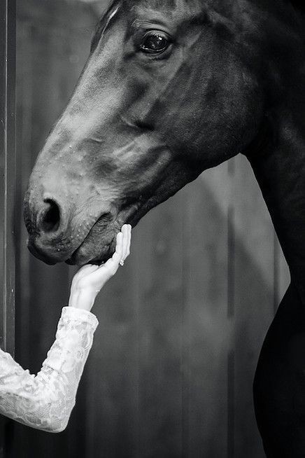 7dd3663f76638047c3fdfa8f77598132