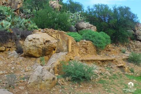 FB_IMG_1482436858522