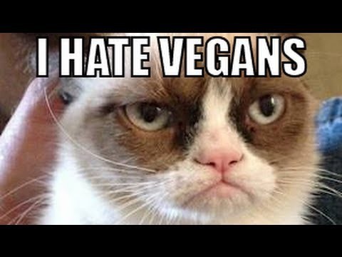 20170322-6226-184fvg5