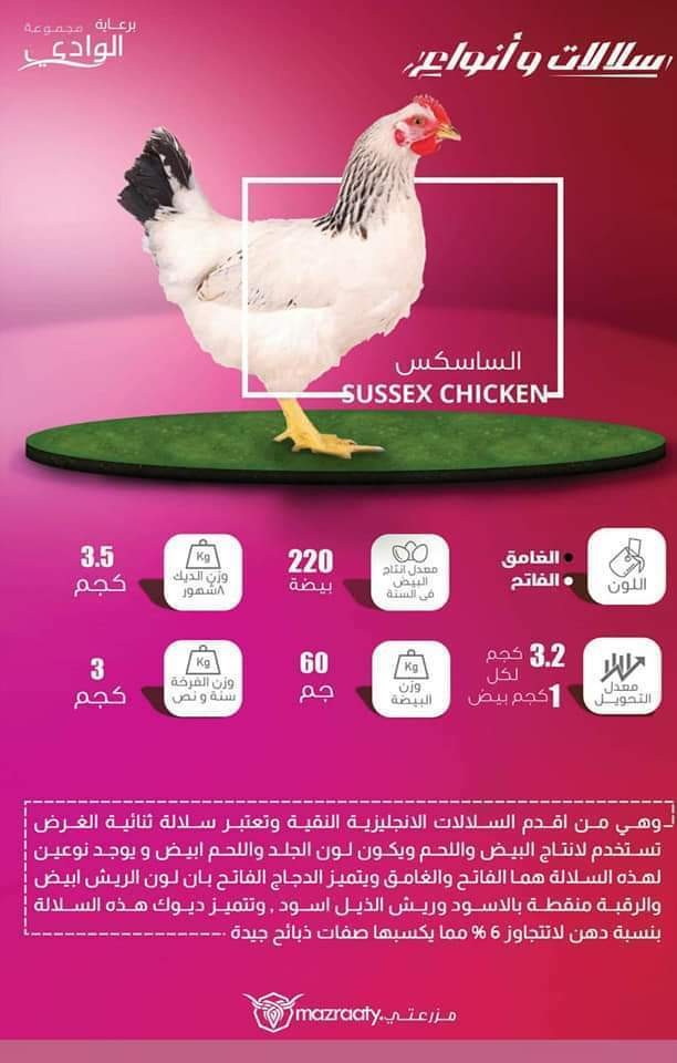 FB_IMG_1550854333782