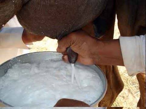 11059429_978989272180872_1029186187251892469_n