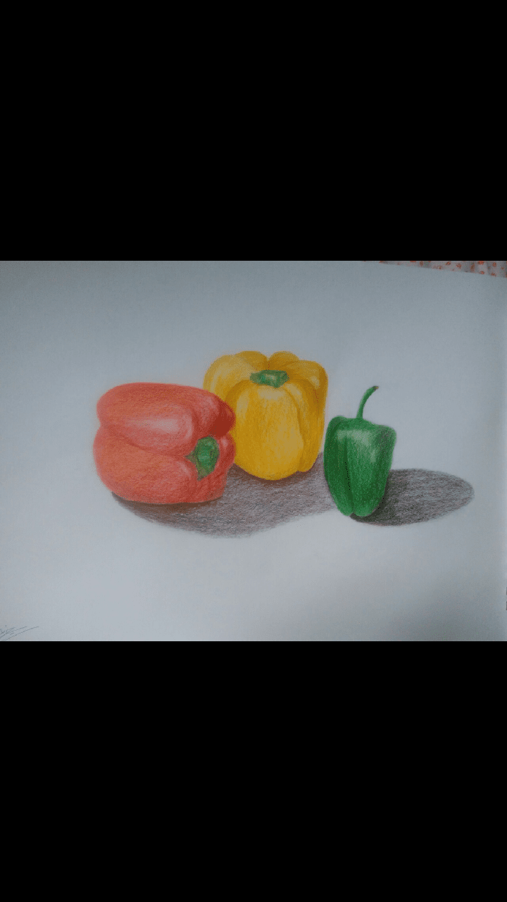 عناصر طبيعية بالوان الخشب