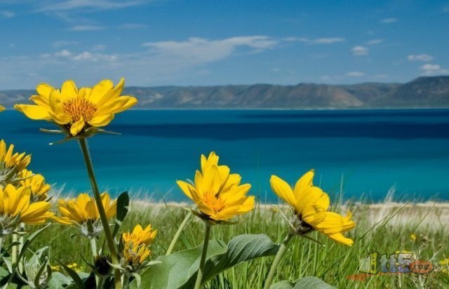 world-pictures-nature-new-30