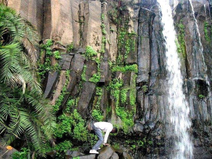 20170517-17650-1ar4ni2