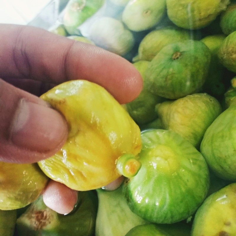 IMG_٢٠١٦٠٨١٢_١٧٤٥٢٥