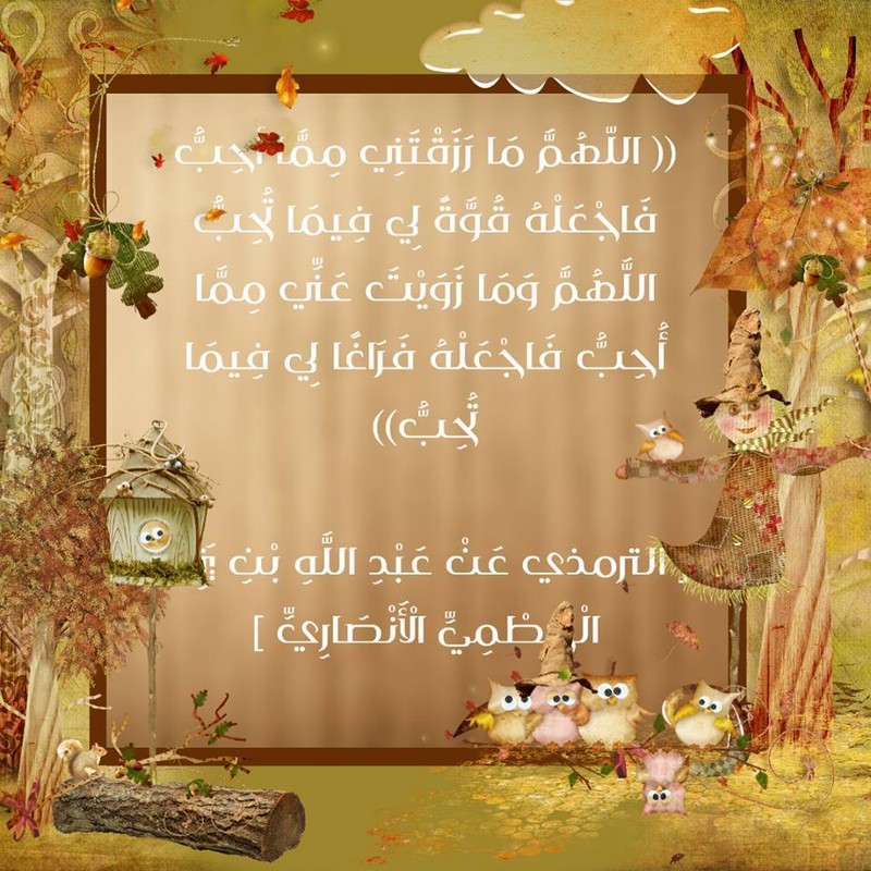 14793744_1771462386428255_1141159602_n