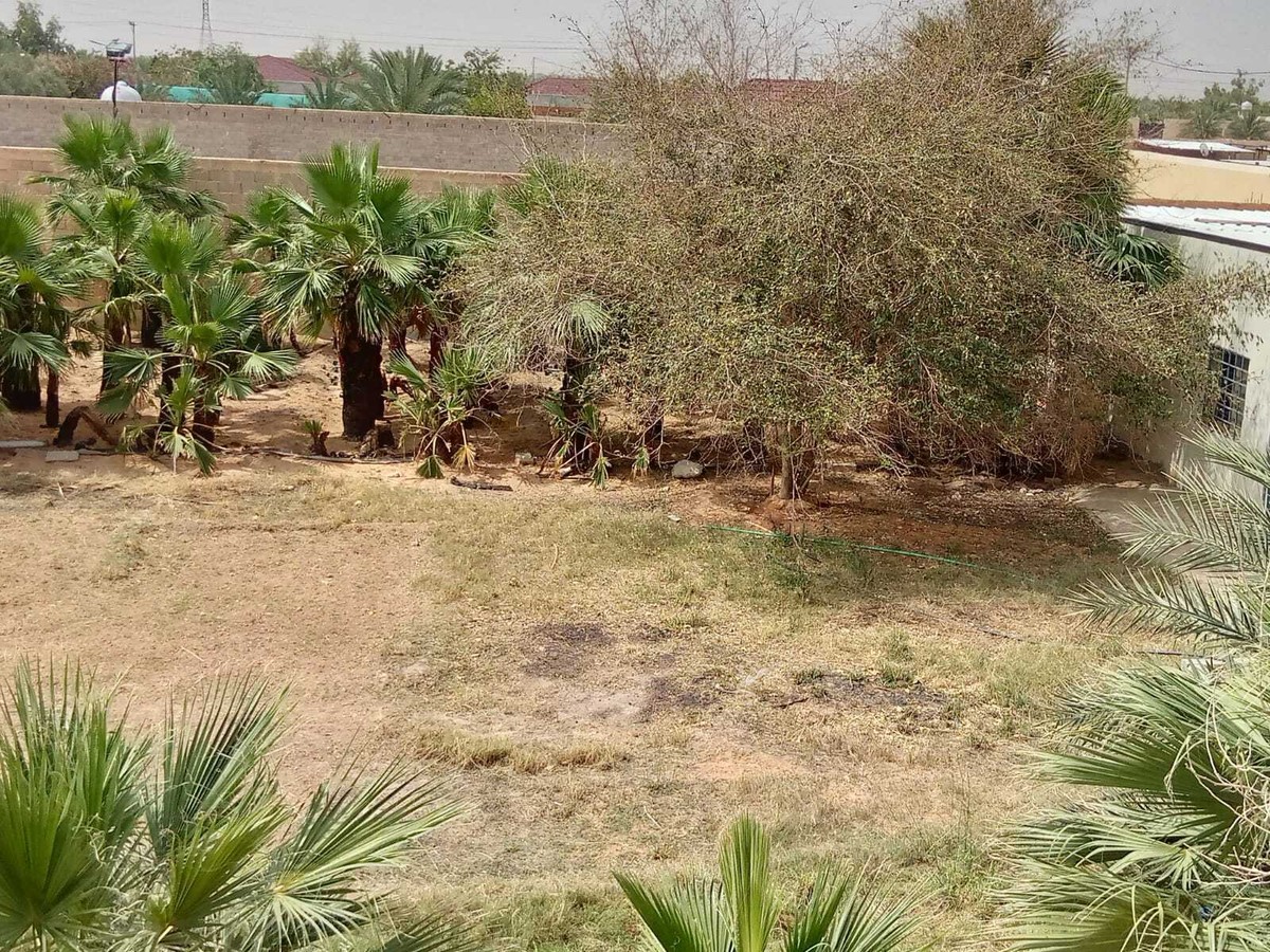 البروفايل/  https://drive.google.com/drive/folders/1rxZ7ZZwVDWGHkIQj98FYACDOGQr4mNQY?usp=drive_link