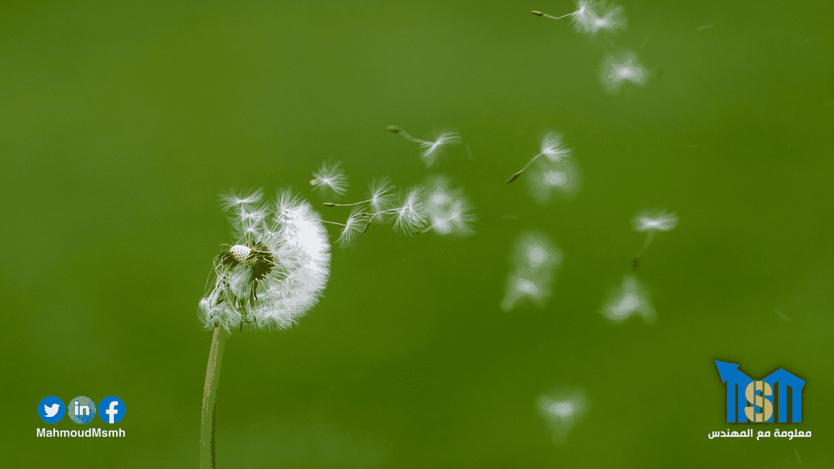 نسخة_من_سيو_سلة__8_