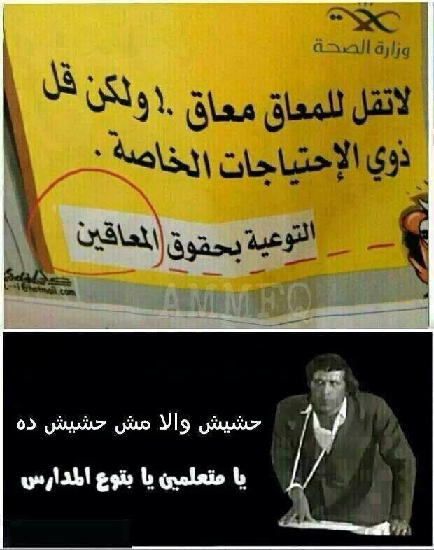 1231405_621956104515570_403129356_n