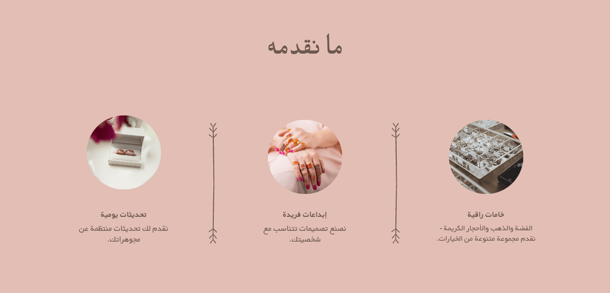 وصف المشروع