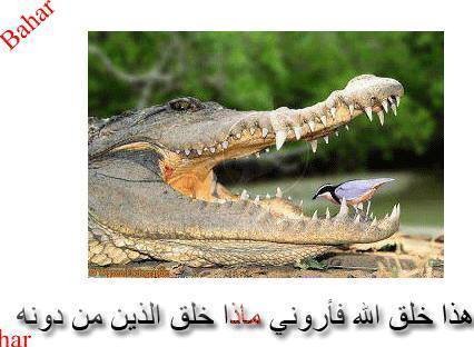 18157332_1284463075001696_2608336819390387763_n