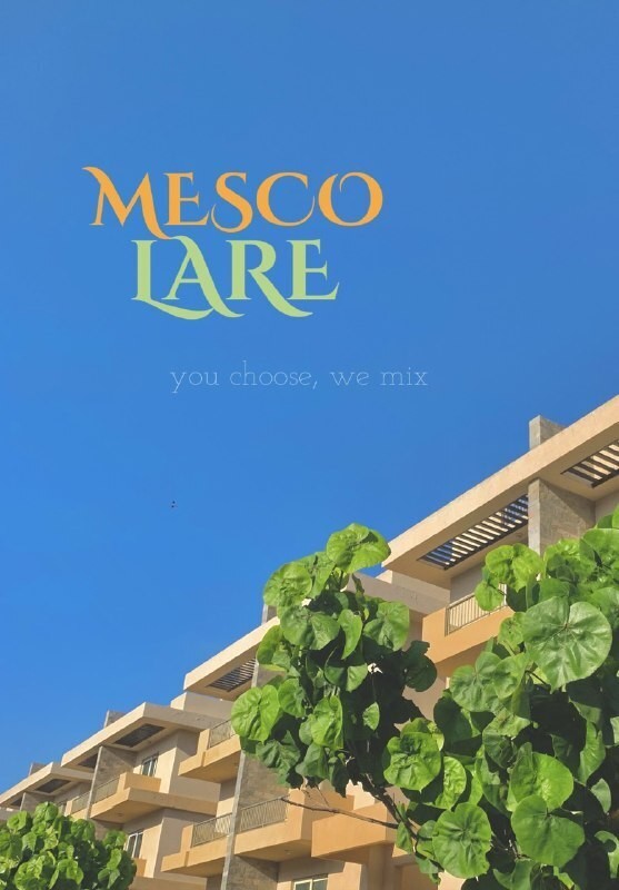 IMG_20230412_224721_106