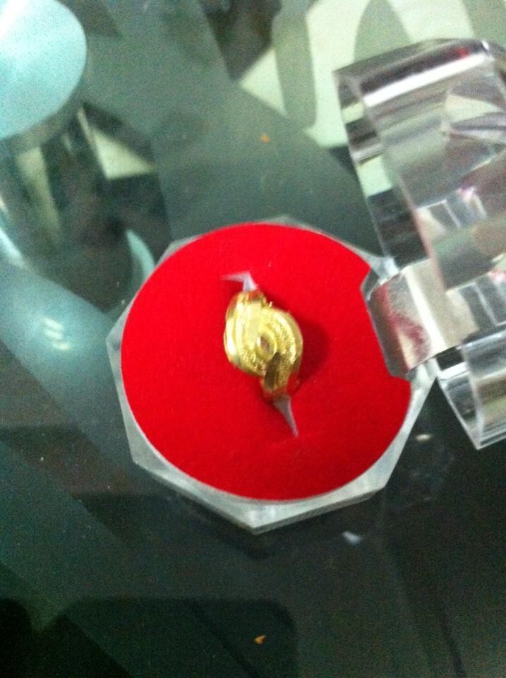 13139265_1321422307872573_7171919706825188958_n