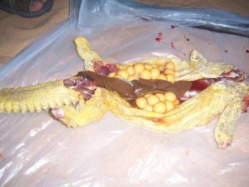 12832433_978989052180894_4042324916312912440_n