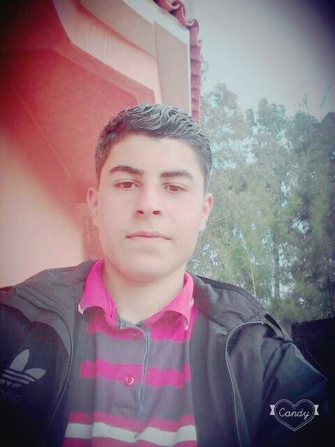 12512416_219440461745603_1611726712727219115_n