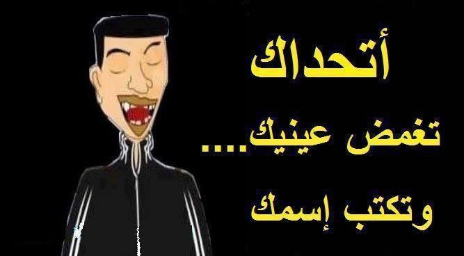 8490_990488307732253_5347487688044249938_n