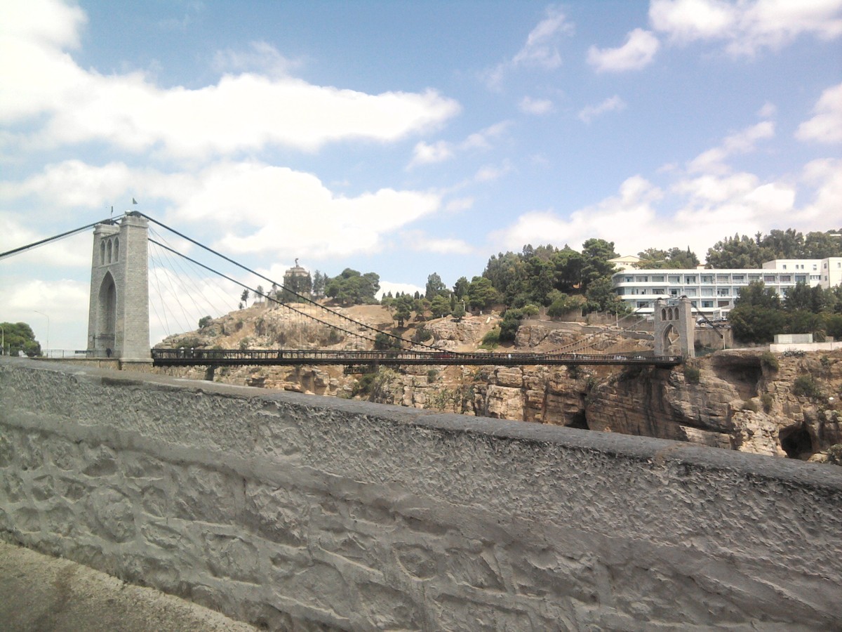 Photo0174