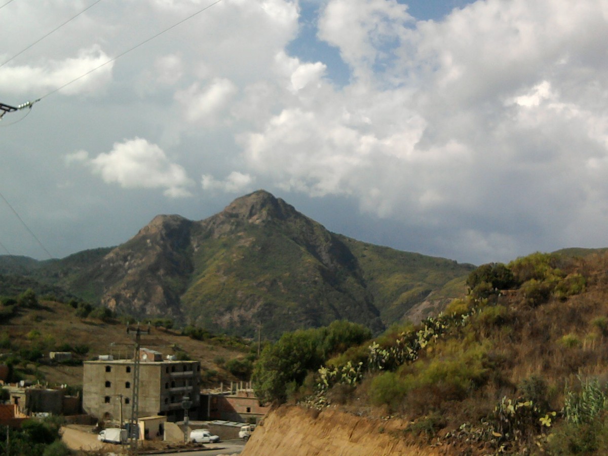 Photo0443
