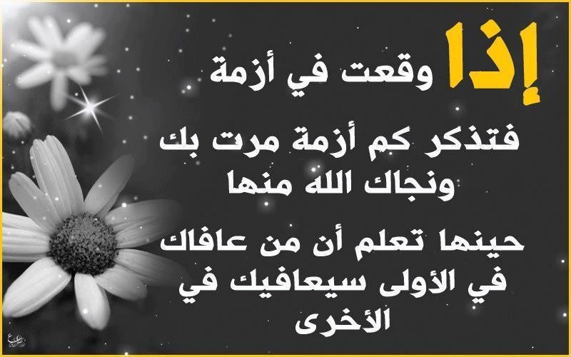 32421_328424300599162_143578916_n