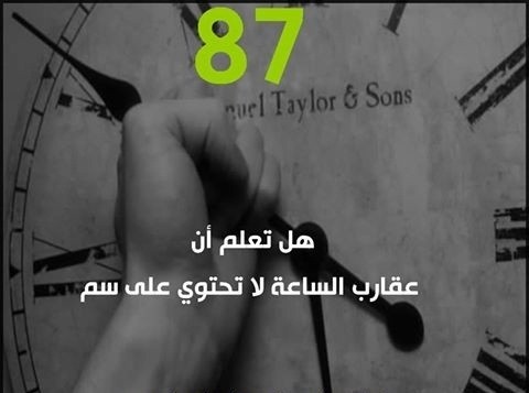 11026817_1619158831636246_4585406432007174540_n