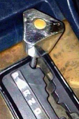 1393531_739109666103099_1421056617_n