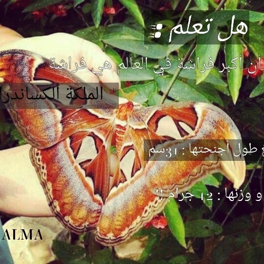 ٢٠١٧٠٥٠٢_١٥٤٧٣٨