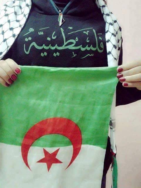 14359046_1207155322661416_6038920297696068541_n