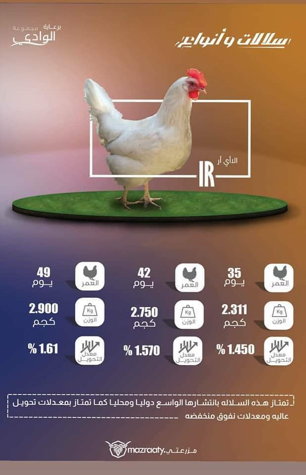 FB_IMG_1550830364625