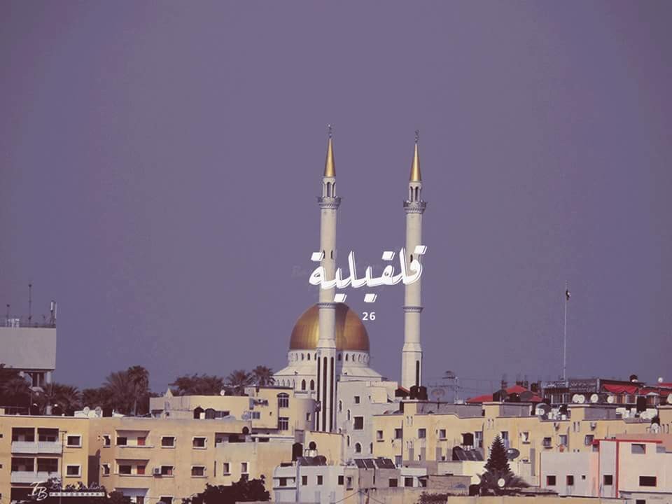 قلقيلية