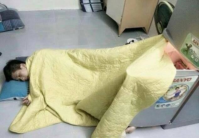 20160508-8197-72ahcq