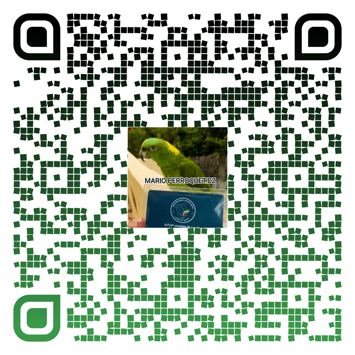 qr-code__6_