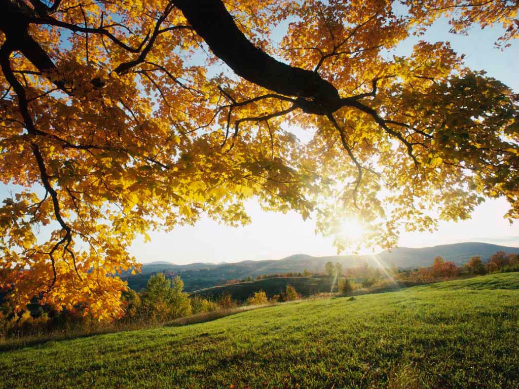 Autumn_Leaves