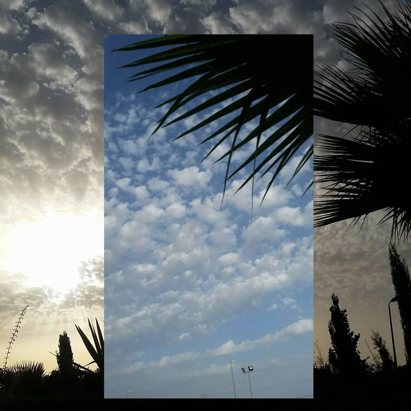 PicsArt_08-09-07.18.59