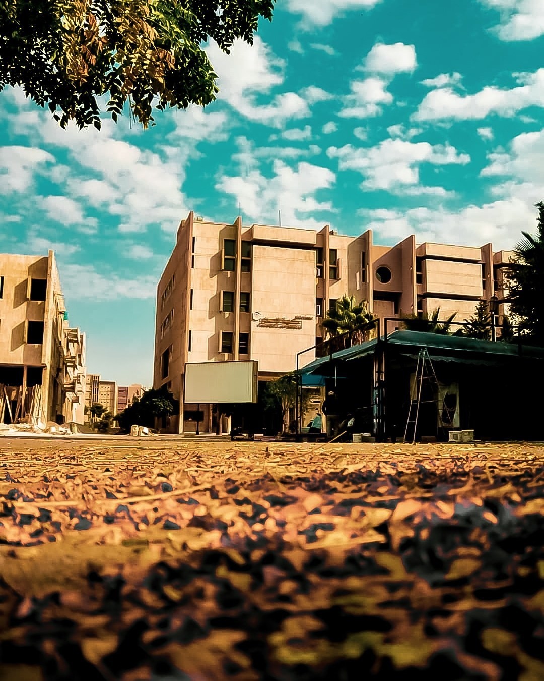 IMG_20200410_151147_377