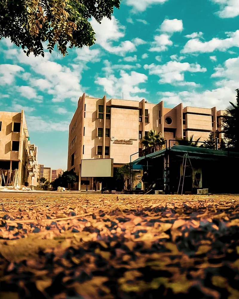 IMG_20200410_151147_377