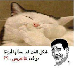 575881_10200837641598958_1798086092_n