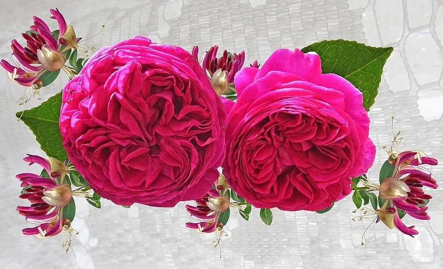 red-roses-and-honeysuckle-arrangement