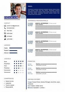 exemple-cv-manager-228x323