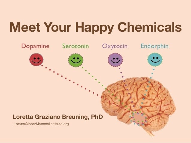 meet-your-happy-chemicals-dopamine-serotonin-endorphin-oxytocin-1-638