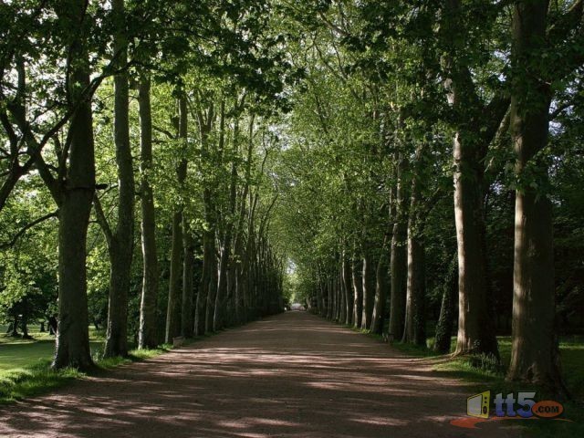 world-pictures-nature-new-40