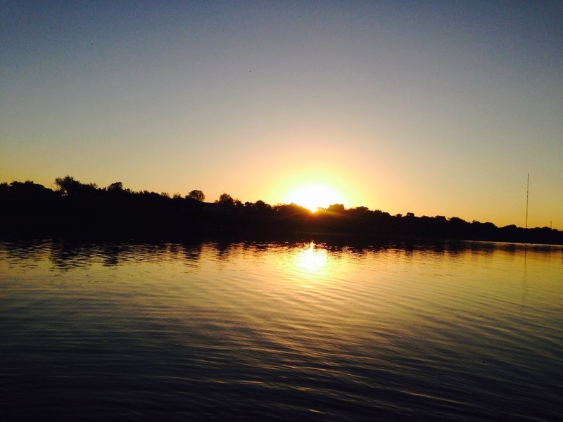 20170517-17650-1fe16nl