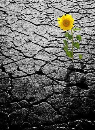 شعر_عن_الأمل