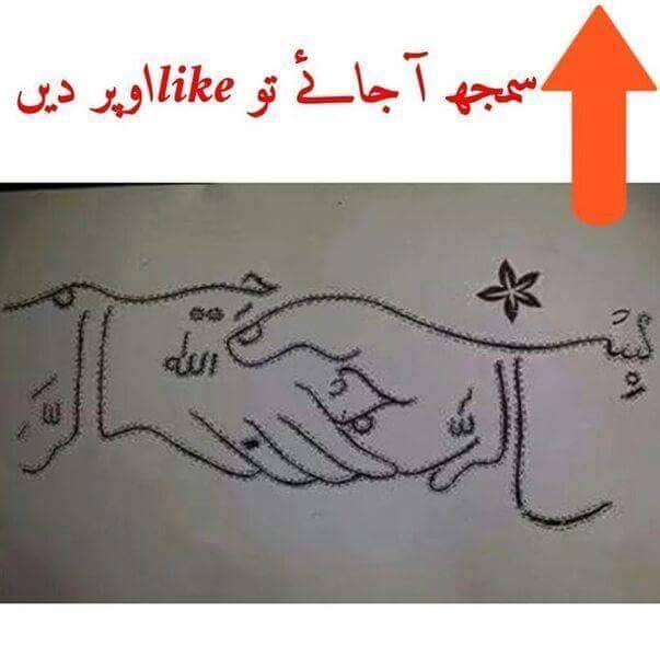 1005516_206306303049021_3383383493289971303_n