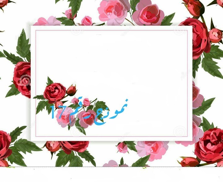 IMG_20181119_070639-1