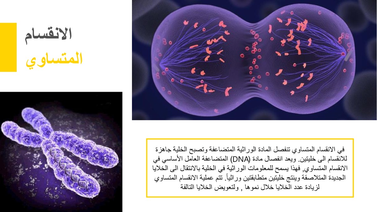 2c35ee775c1be0f5abbaa40beb9a6ef6-3