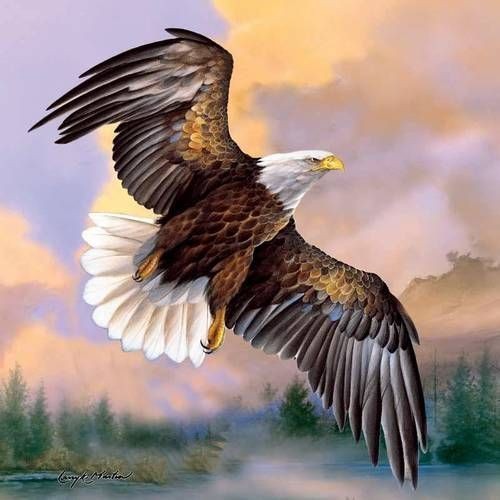 Shop_American_Expedition_Jigsaw_Puzzles_-__God_Shed_His_Grace__Bald_Eagle_500_Piece_Puzzle_-_Gather_t